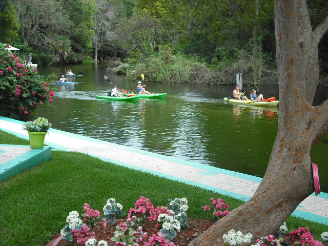 Enjoy kayak trips on visit